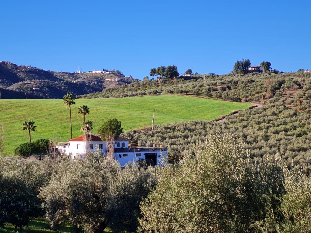 كولمينار Casa Metaverdi المظهر الخارجي الصورة
